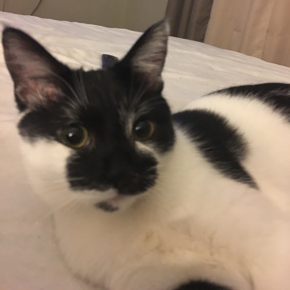 Meet your Posher, Krista